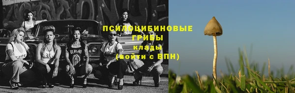 а пвп мука Арсеньев