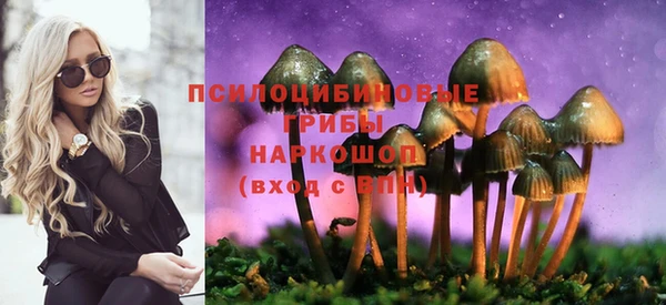 mdpv Аркадак