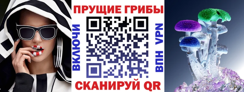 где купить наркотик  Мыски  Псилоцибиновые грибы Psilocybine cubensis 
