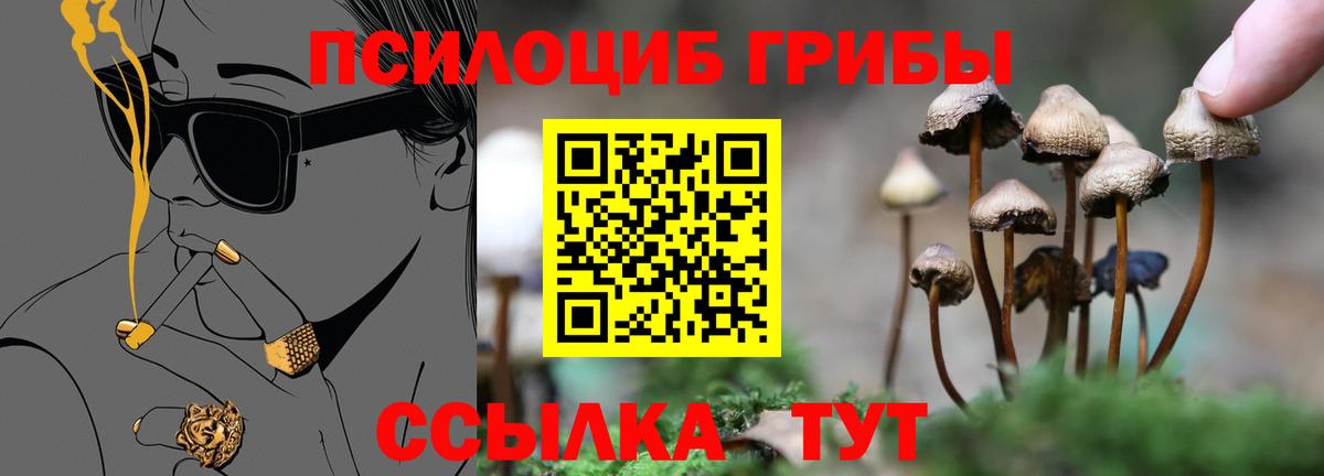 Псилоцибиновые грибы прущие грибы Мыски
